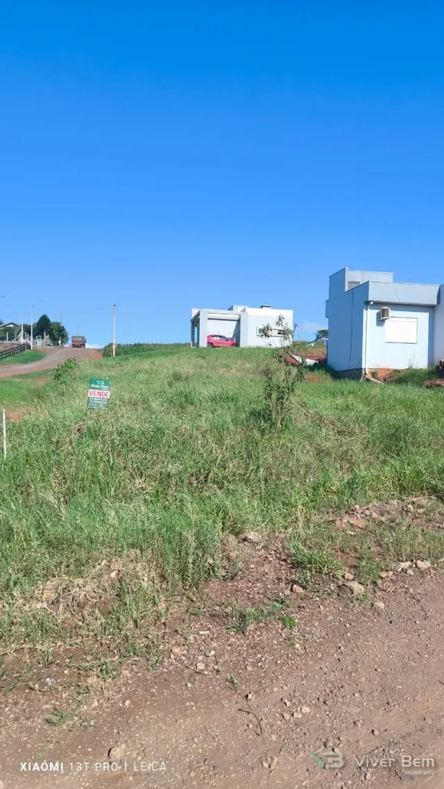 Terreno, foto 5