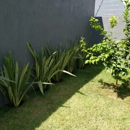 Casa com 3 dormitórios, foto 14