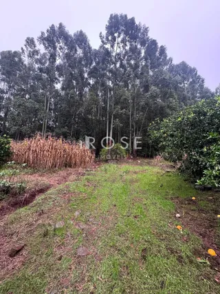 Área rural, foto 14