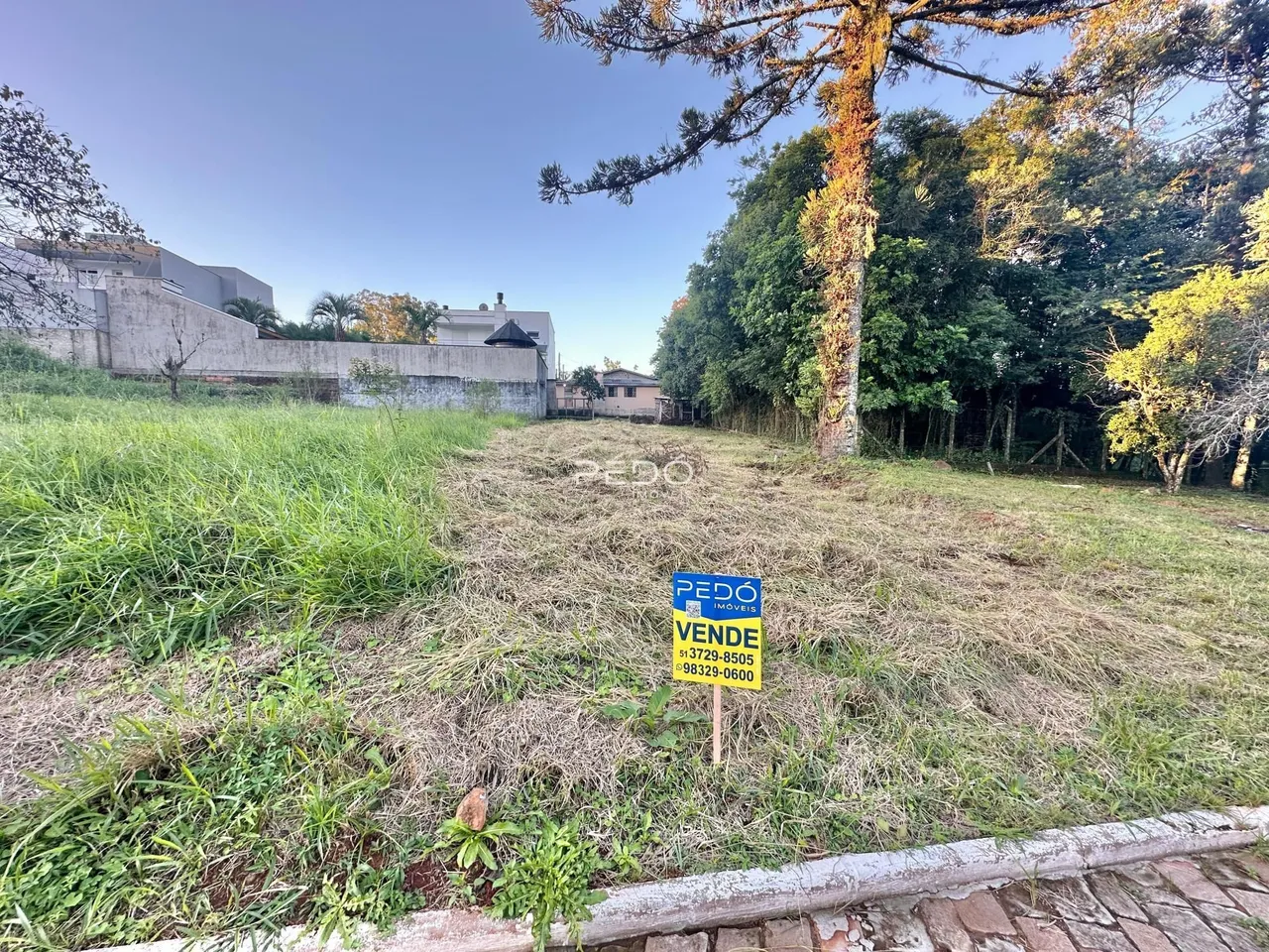 Vista externa de um terreno com grama alta e vegetação ao redor de uma propriedade em Lajeado.
