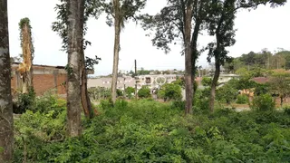 Terreno, foto 2