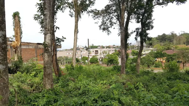 Terreno, foto 2