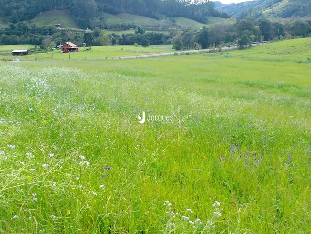 Área rural, foto 3