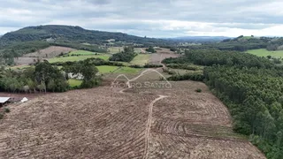 Vista panorâmica de campos e florestas na região de Lajeado.