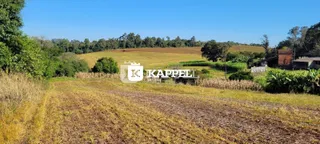 Paisagem de campo aberto com vegetação seca e árvores ao fundo.