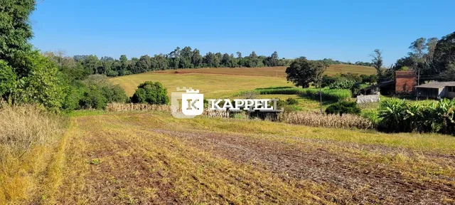 Paisagem de campo aberto com vegetação seca e árvores ao fundo.