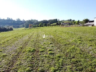 Campo verde com vegetação densa ao fundo.