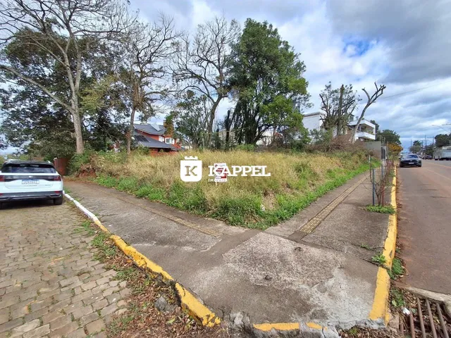 Vista externa da propriedade mostrando a divisa com a rua e vegetação.
