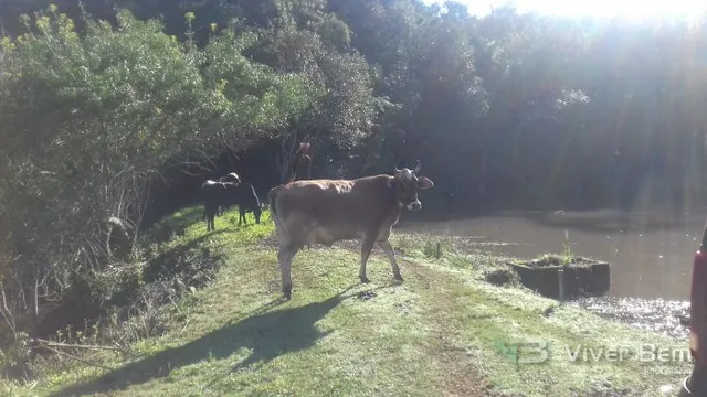 Área rural, foto 4