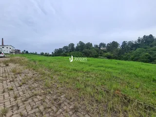 Vista de uma área de campo com vegetação e floresta ao fundo.