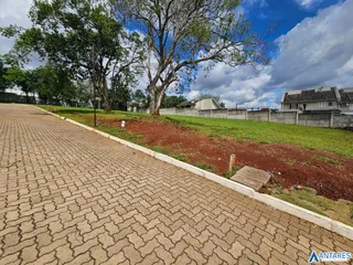 Terreno, foto 7
