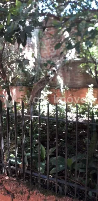 Casa com 3 dormitórios, foto 15