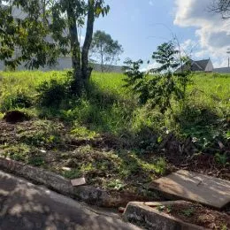 Terreno, foto 3
