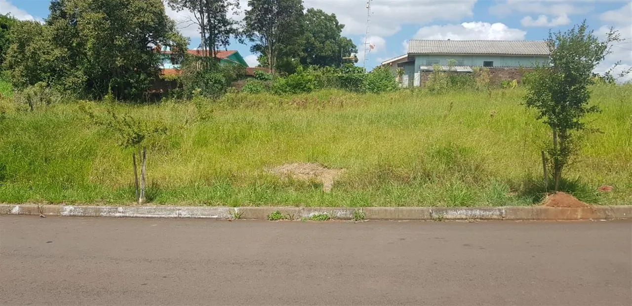Terreno, foto 1