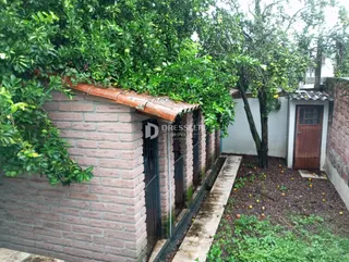Vista externa de uma parede de tijolos com vegetação exuberante em Lajeado.