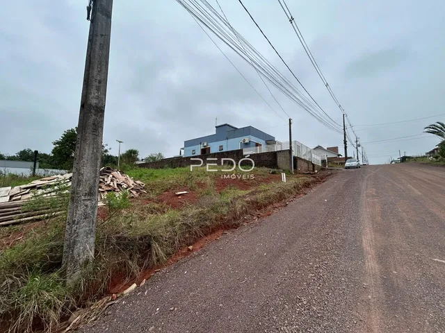Vista da propriedade em Lajeado, Brasil, mostrando uma estrada de terra e vegetação ao lado de uma cerca.