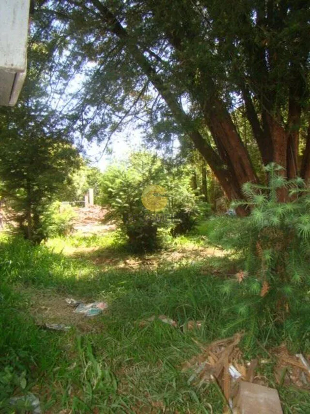 Terreno, foto 4