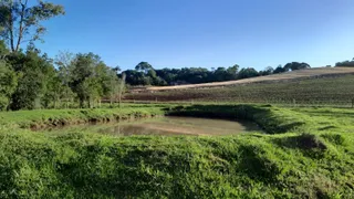 Área rural, foto 7