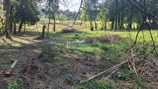 Área rural, foto 7