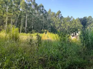 Terreno, foto 6