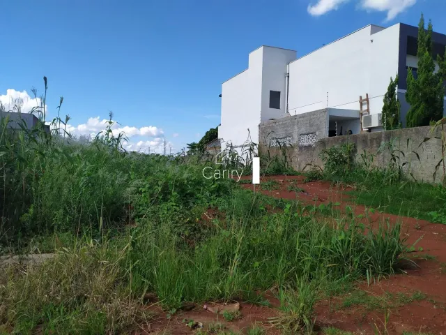 Terreno