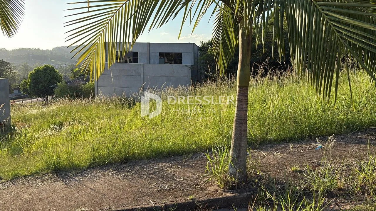 Terreno, foto 1
