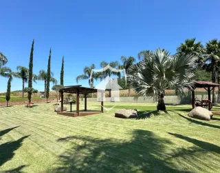 Área rural com 3 dormitórios, foto 4