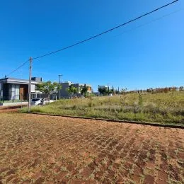 Vista de um terreno aberto com vegetação seca sob um céu azul.