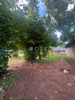 Área rural com 1 dormitório, foto 13