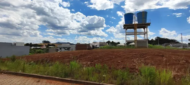 Vista de um terreno com solo marrom e vegetação rasteira.