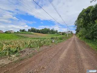 Terreno, foto 5