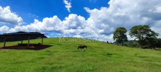 Área rural, foto 5