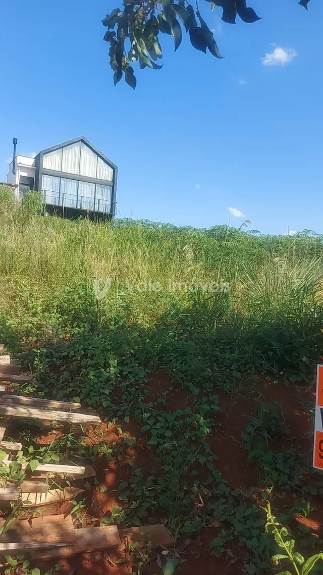 Terreno