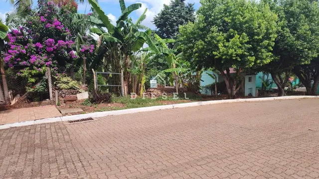 Terreno, foto 3