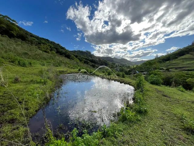 Vista panorâmica de um rio cercado por colinas verdes e vegetação exuberante.