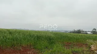 Terreno, foto 10