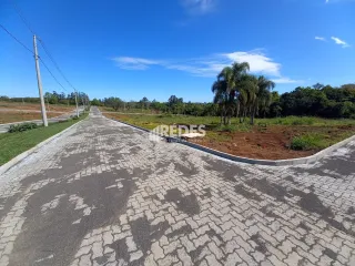Terreno, foto 13
