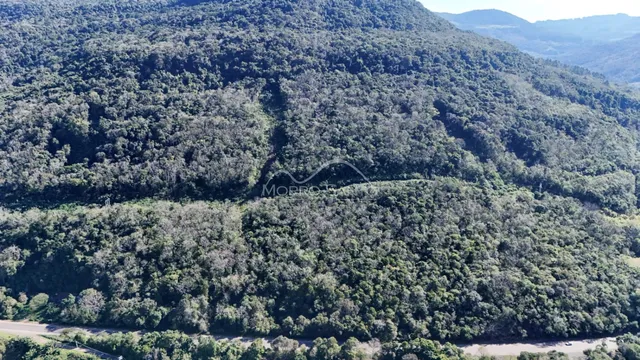 Área rural, foto 4
