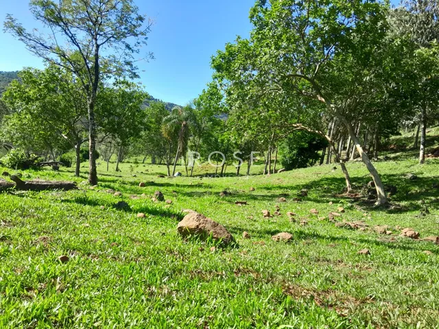 Área rural