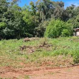 Terreno, foto 2