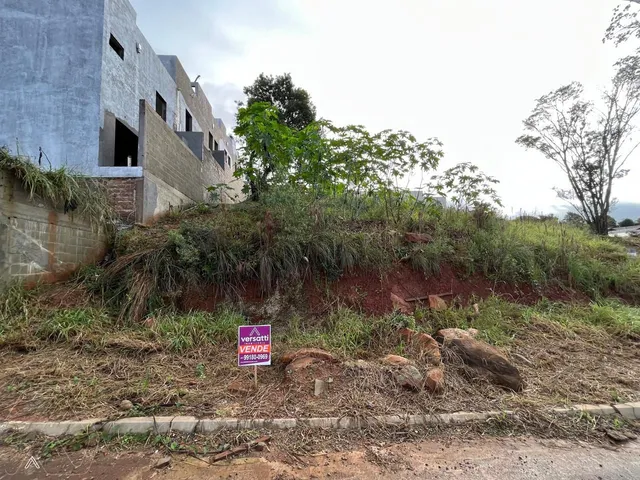 Terreno, foto 2