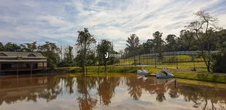 Vista de água e vegetação em uma propriedade.