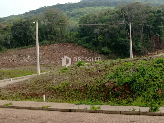 Terreno, foto 5