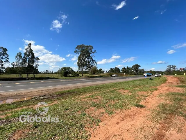 Paisagem de campo com uma estrada e vegetação ao fundo.