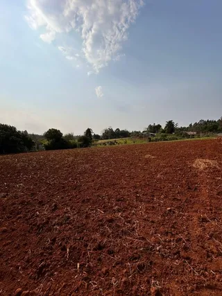 Terreno, foto 9
