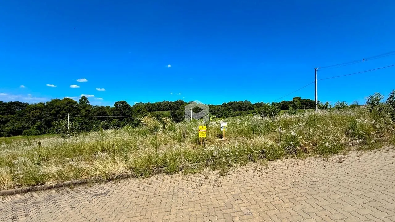 Paisagem de campo com vegetação e céu azul.