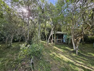 Área rural, foto 6