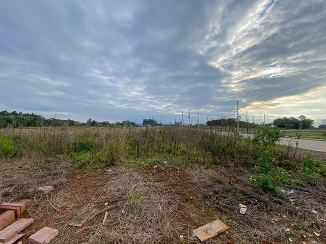 Vista de uma área externa com vegetação seca e solo exposto.