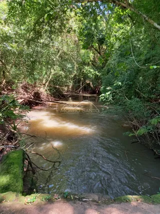 Vista de um rio com vegetação densa nas margens.