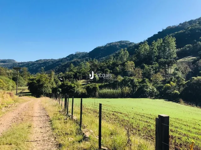 Área rural com 4 dormitórios, foto 2
